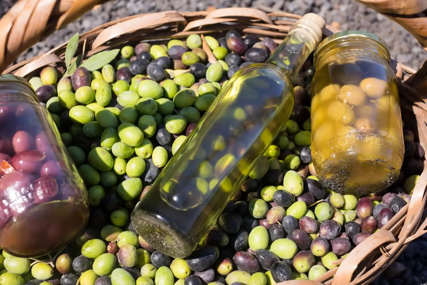 Olivenöl-im-Kanister-5-Liter-Extra-nativ-aus-Italien-und-Griechenland HKShopCompany